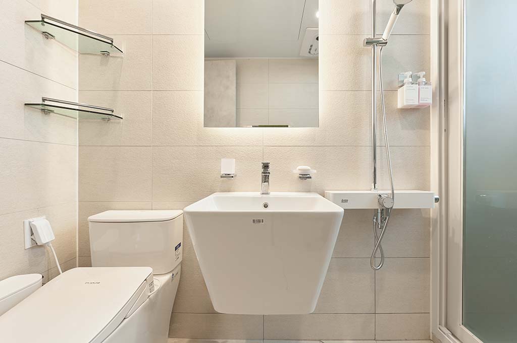 Appartement 301 - salle de bain